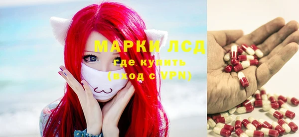 индика Гусь-Хрустальный