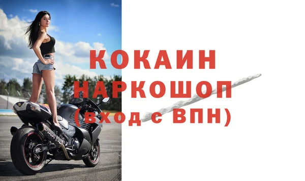 индика Гусь-Хрустальный