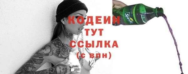 индика Гусь-Хрустальный
