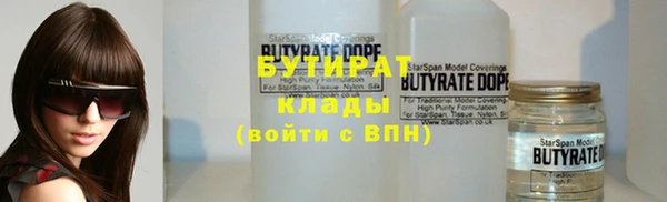 индика Гусь-Хрустальный