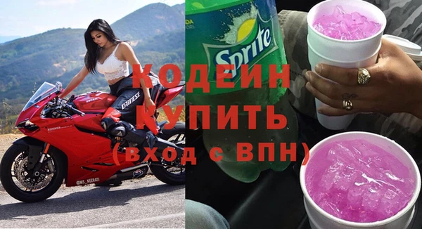индика Гусь-Хрустальный