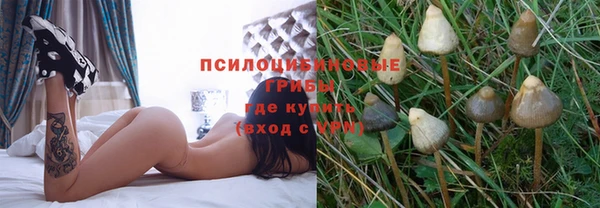 прущая мука Горнозаводск