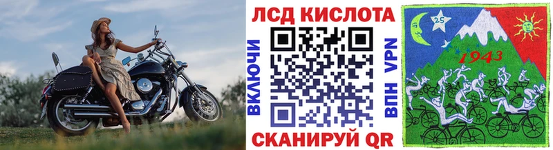 купить закладку это официальный сайт Наркотические марки 1,5мг Далматово